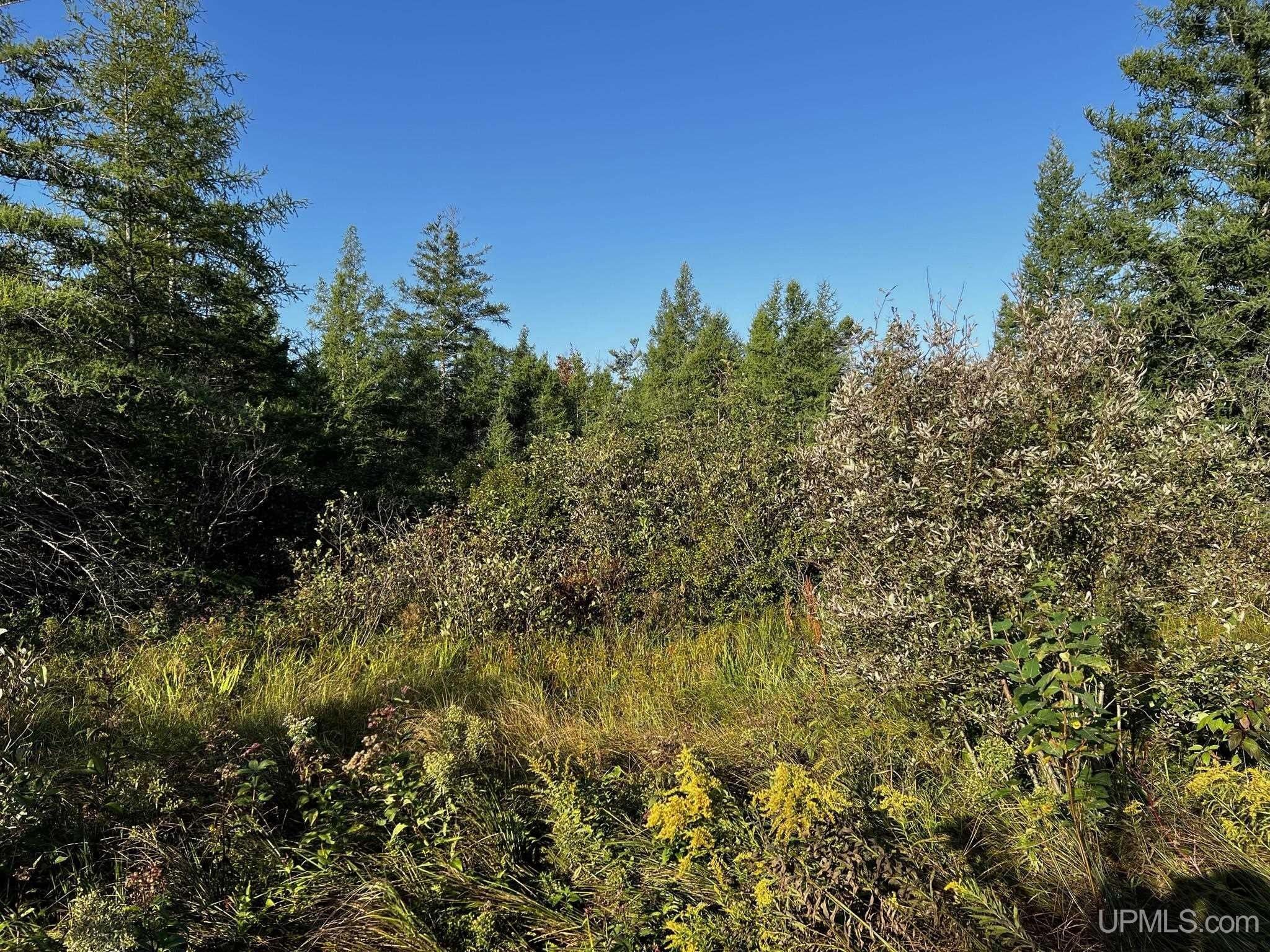 Gould City, Mackinac County, MI Undeveloped Land for sale Property ID 414833804 LandWatch