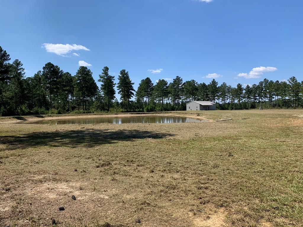 Baxley, Appling County, GA Lakefront Property, Waterfront Property