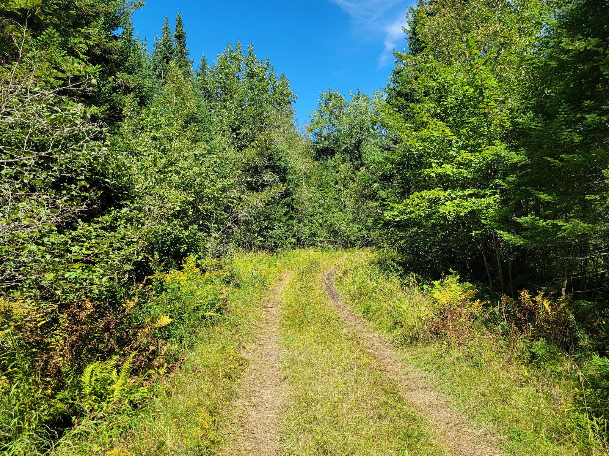 Cardville, Penobscot County, ME Undeveloped Land for sale Property ID