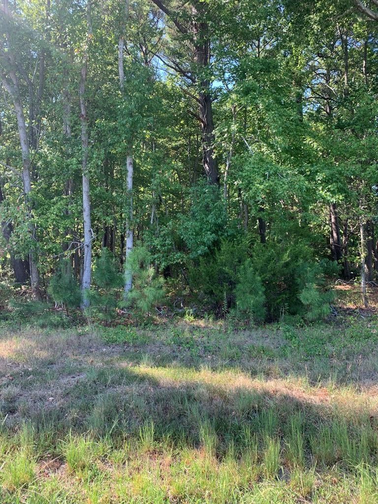 Exmore, Northampton County, VA Farms and Ranches, Homesites for sale