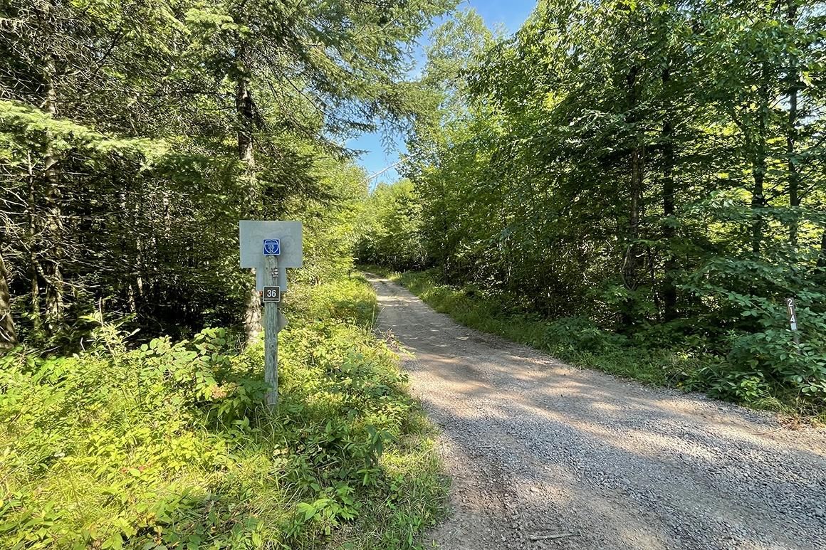 Butternut, Ashland County, WI Recreational Property, Hunting Property, Homesites for sale