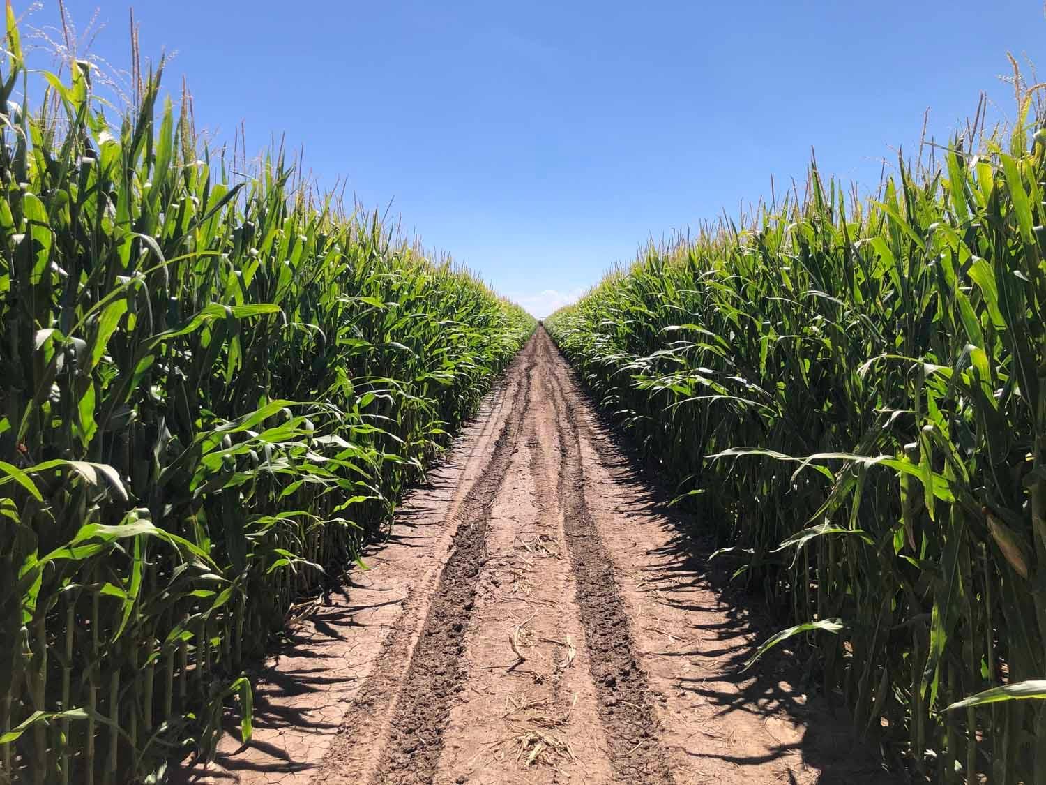 4,055.15 acres in Spearman, TX, 79081 LandWatch