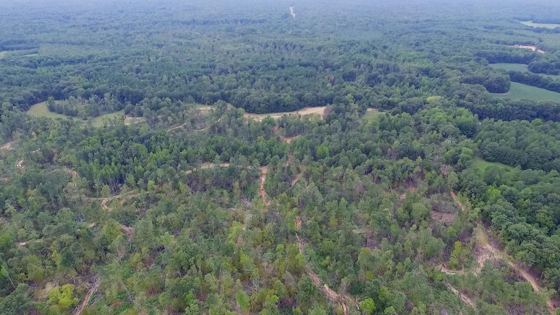 Toone, Hardeman County, TN Recreational Property, Undeveloped Land