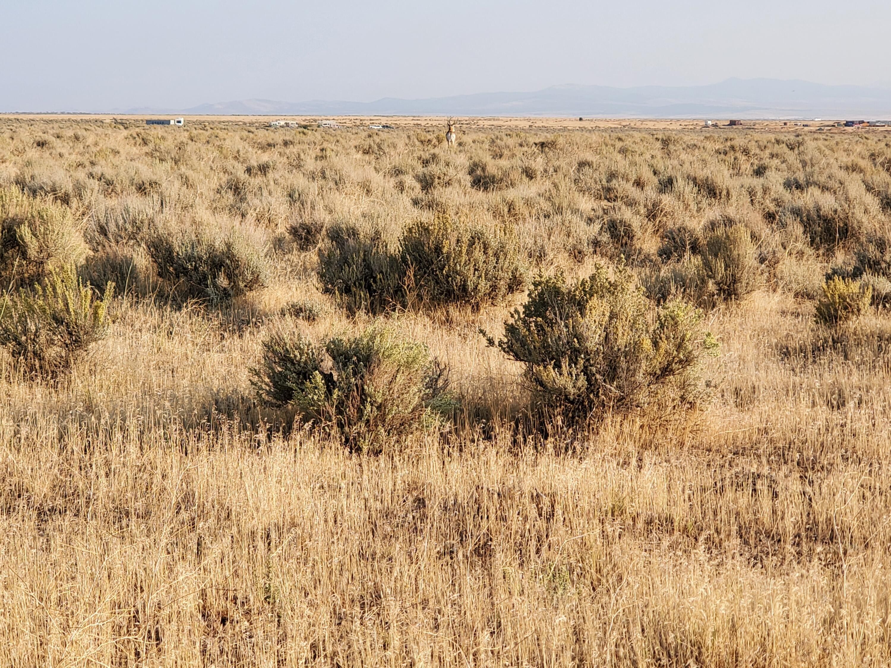 Cedar City, Iron County, UT Undeveloped Land, Homesites for sale