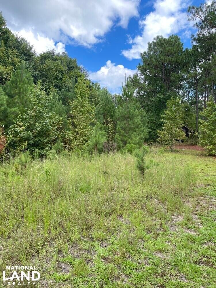 Sanford, Lee County, NC Undeveloped Land for sale Property ID