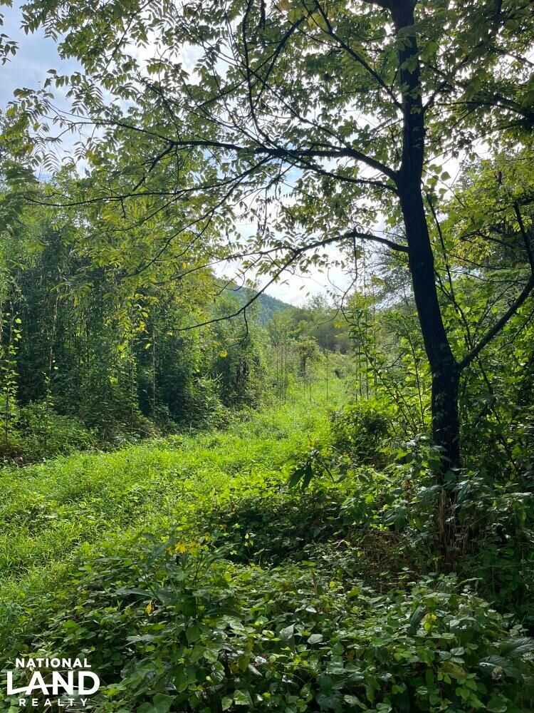 Siler, Whitley County, KY Recreational Property, Undeveloped Land