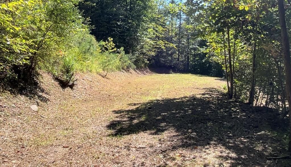 Elkhorn City, Pike County, KY Undeveloped Land for sale Property ID