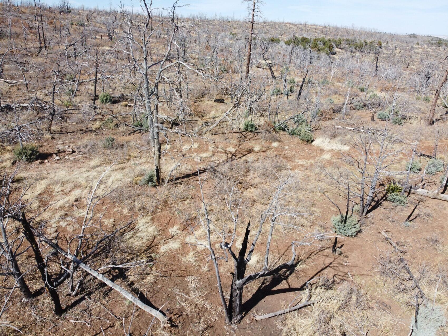 Moriarty, Torrance County, NM Recreational Property, Homesites for sale Property ID 414866582