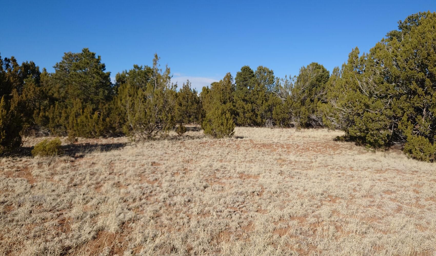 Moriarty, Torrance County, NM Recreational Property, Homesites for sale Property ID 414866619