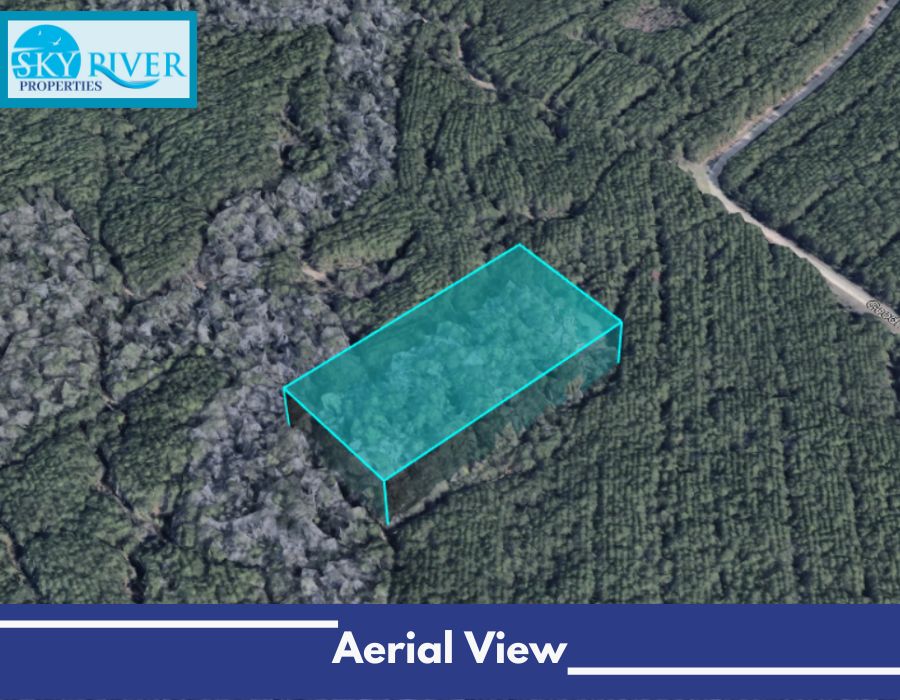 Cleveland, Montgomery County, TX Recreational Property, Undeveloped