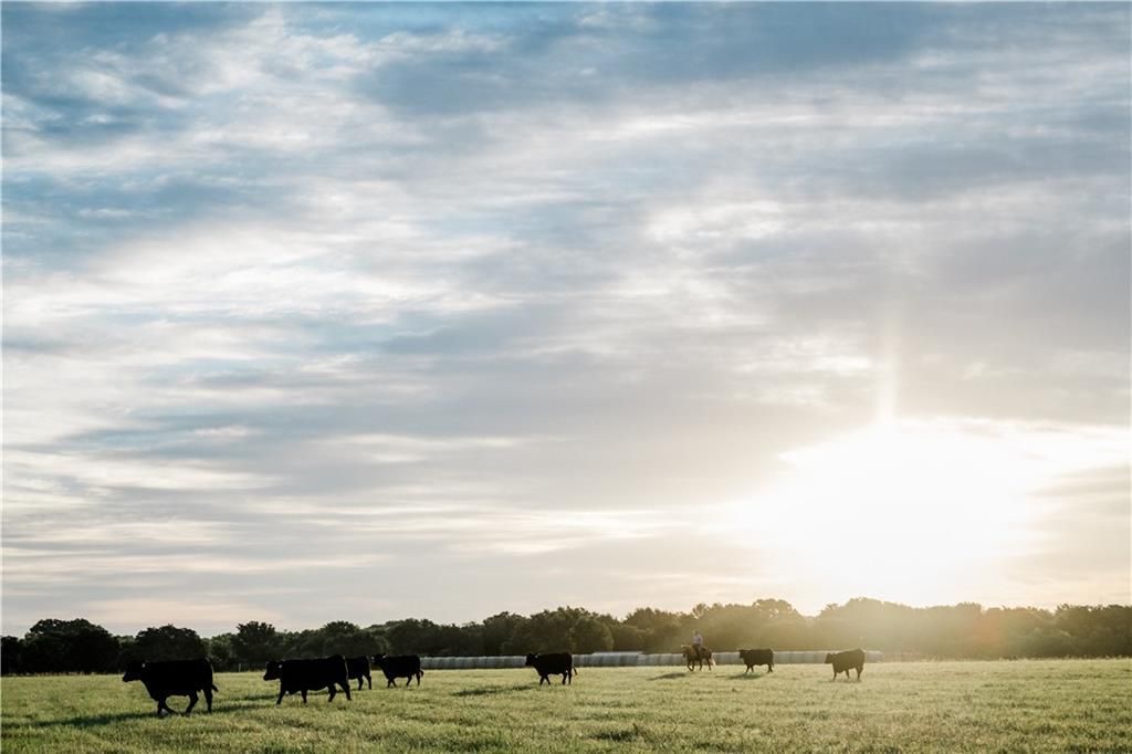 Fischer, Brown County, TX Farms and Ranches, Commercial Property