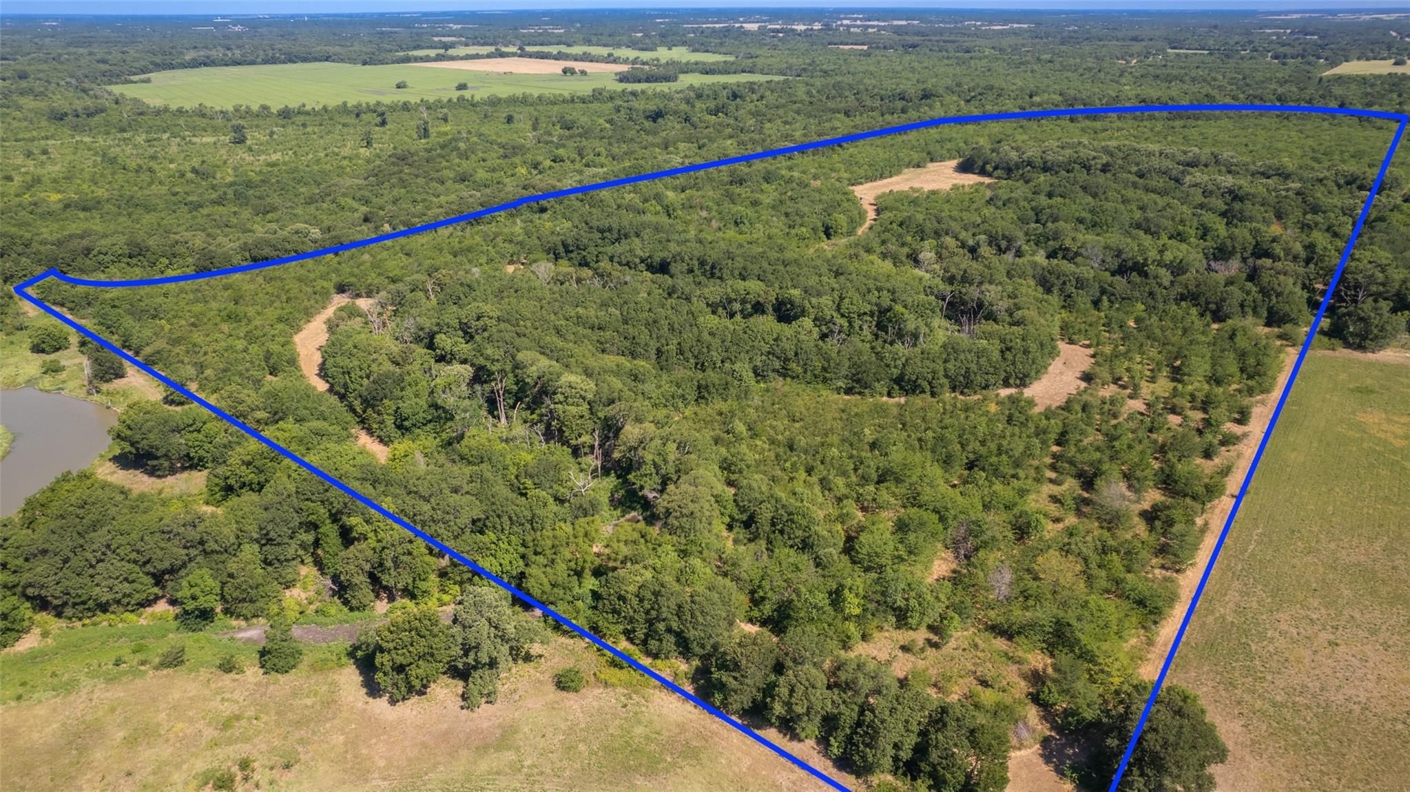 Sulphur Springs, Hopkins County, TX Recreational Property, Timberland