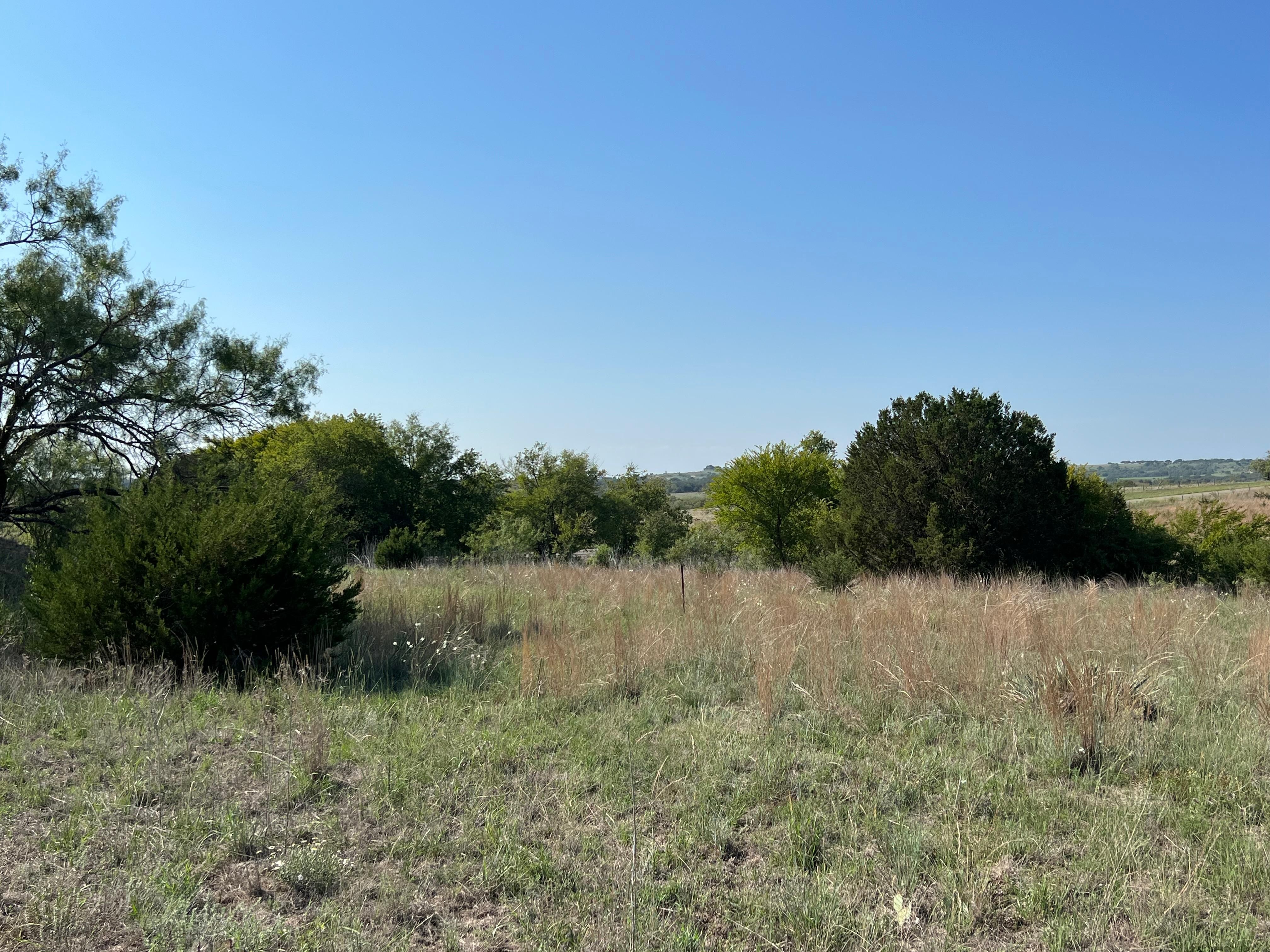 Hamilton, Hamilton County, TX Farms and Ranches for sale Property ID