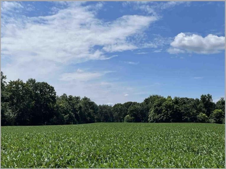 Warsaw, Richmond County, VA Undeveloped Land, Lakefront Property