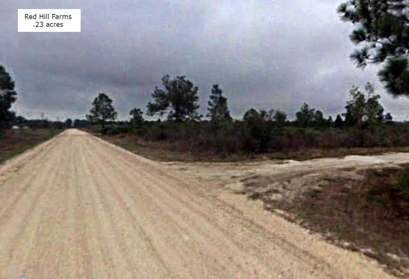 Avon Park, Highlands County, FL Recreational Property, Undeveloped Land