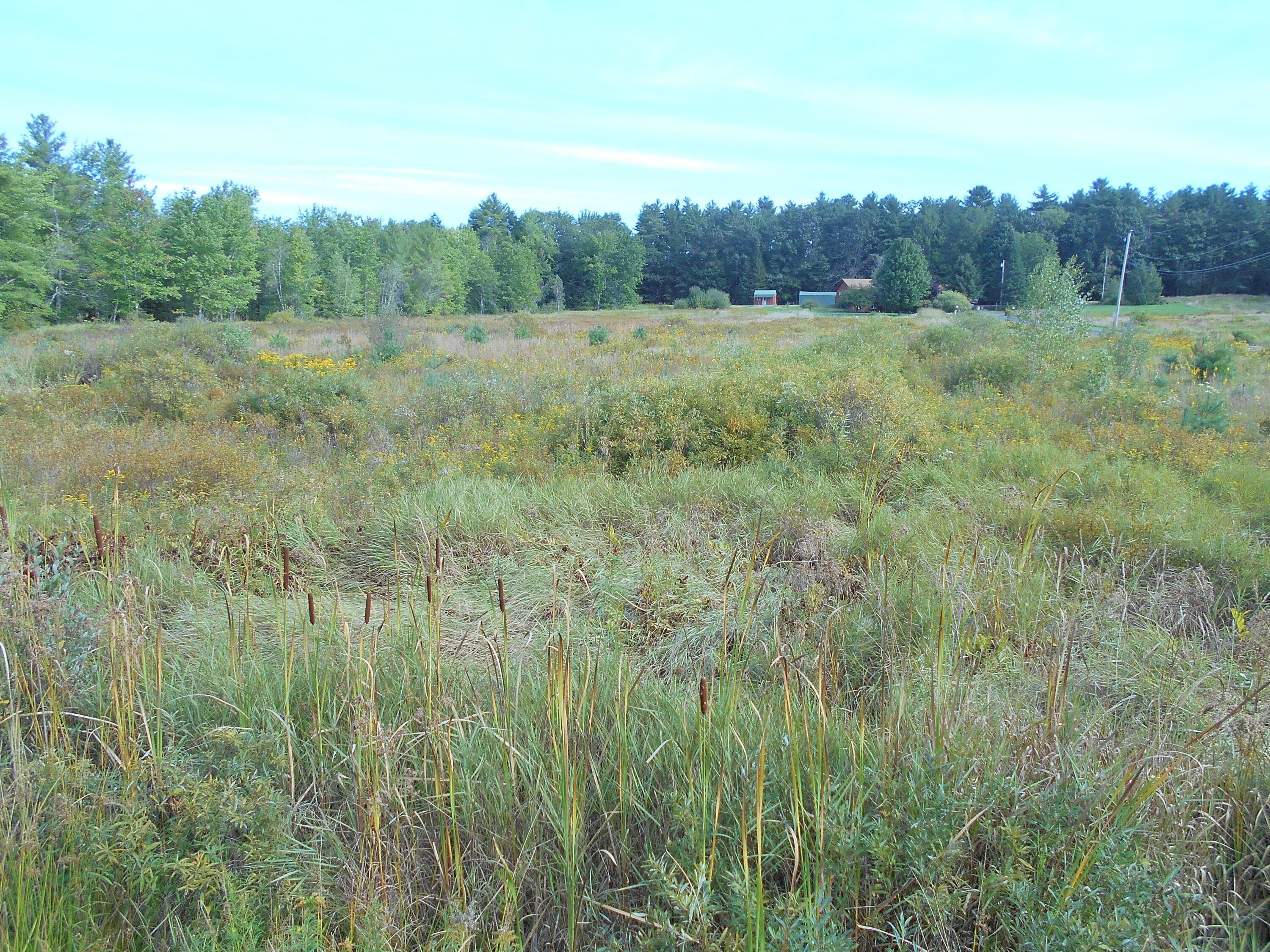 Buxton, York County, ME Undeveloped Land, Homesites for sale Property