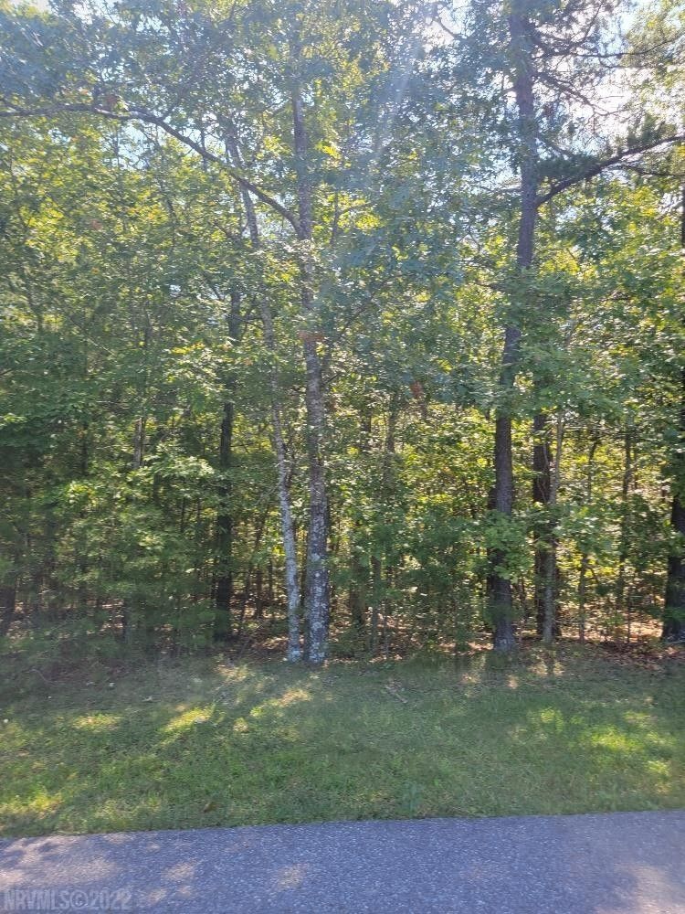 Elliston, Montgomery County, VA Undeveloped Land for sale Property ID 414870408 LandWatch