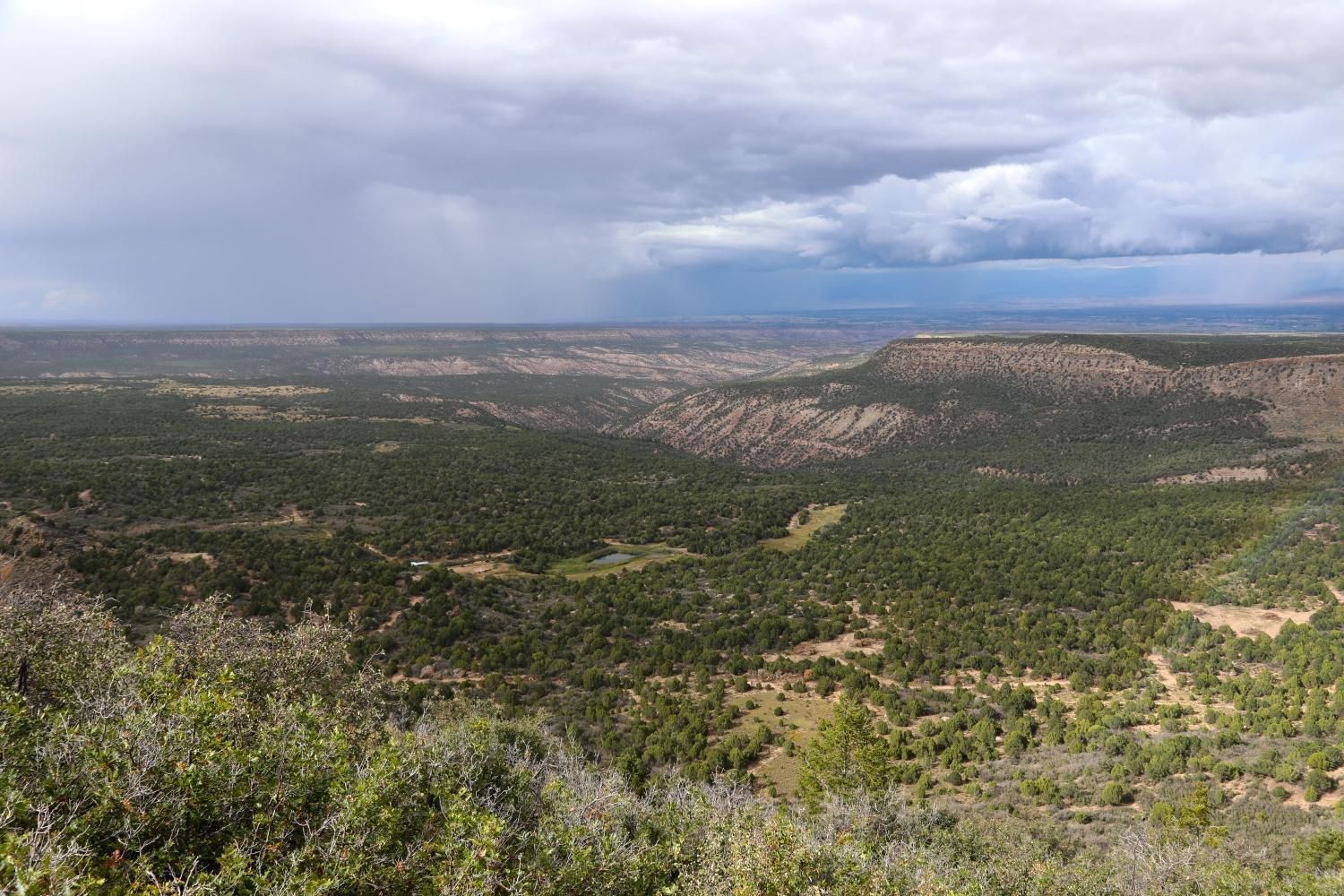 Montrose, Montrose County, CO Recreational Property, Undeveloped Land