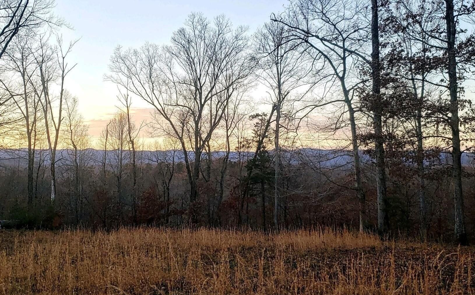 Henry, Franklin County, VA Farms and Ranches for sale Property ID