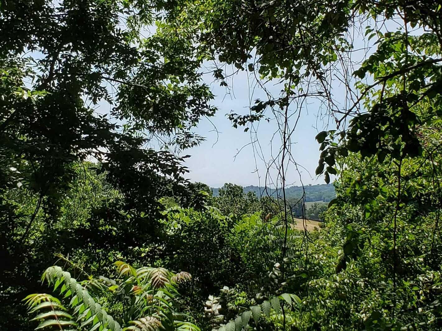 Parrottsville, Cocke County, TN Undeveloped Land, Homesites for sale Property ID 414871745