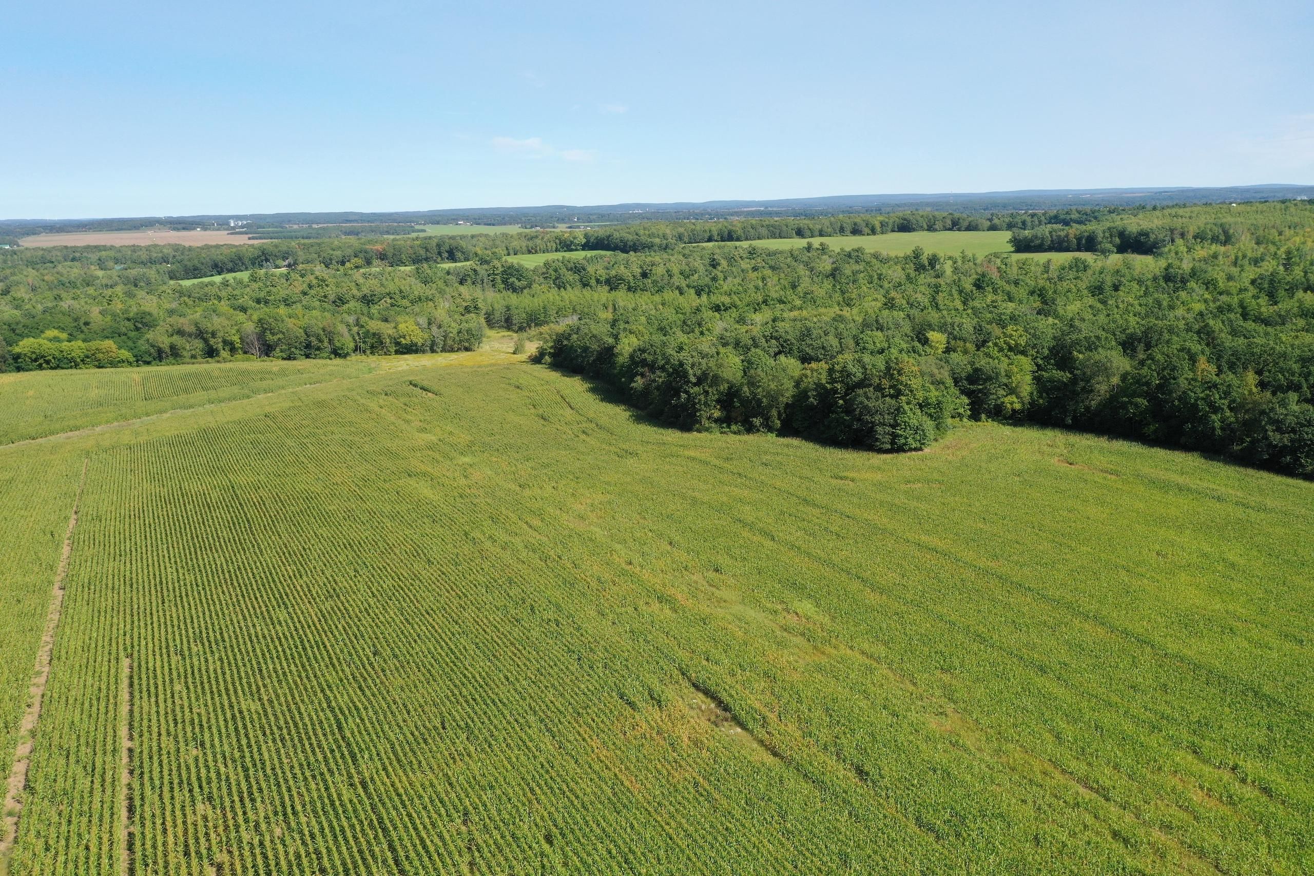 Cameron, Barron County, WI Farms and Ranches, Hunting Property for sale