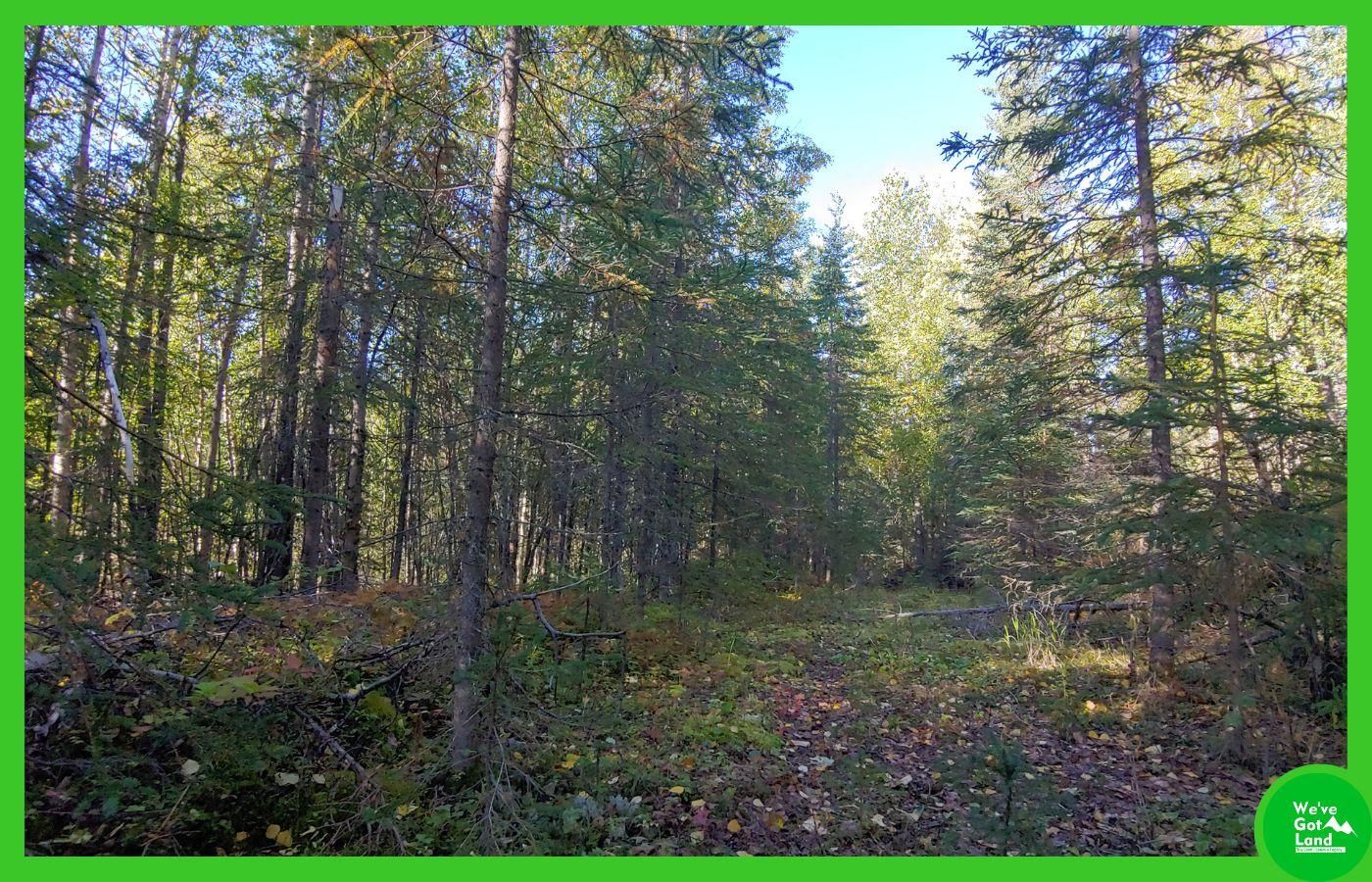 Nikiski, Kenai Peninsula Borough, AK Recreational Property, Undeveloped