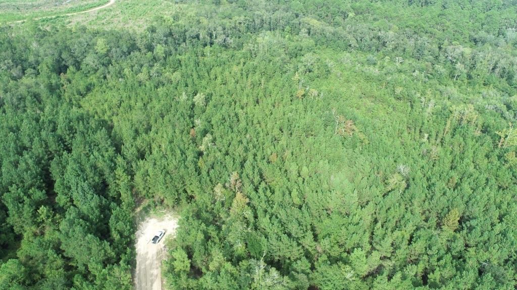 Ludowici, Long County, GA Recreational Property, Undeveloped Land for