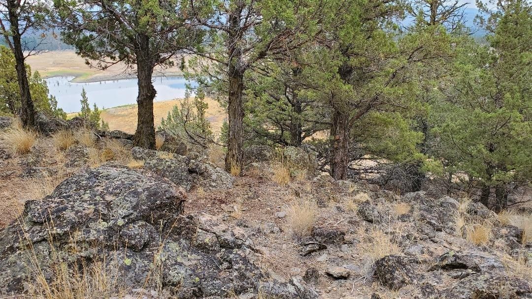 Weed, Siskiyou County, CA Undeveloped Land, Lakefront Property