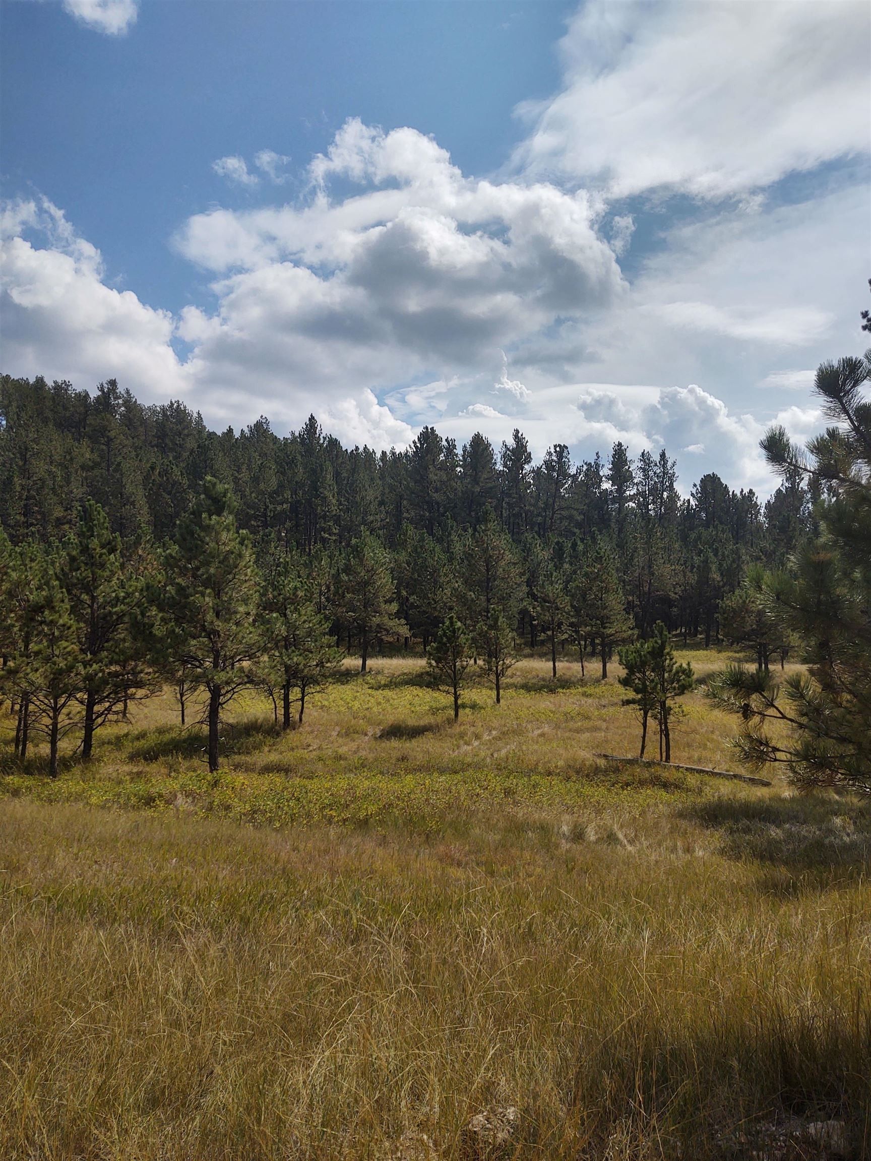 Custer, Custer County, SD Undeveloped Land for sale Property ID