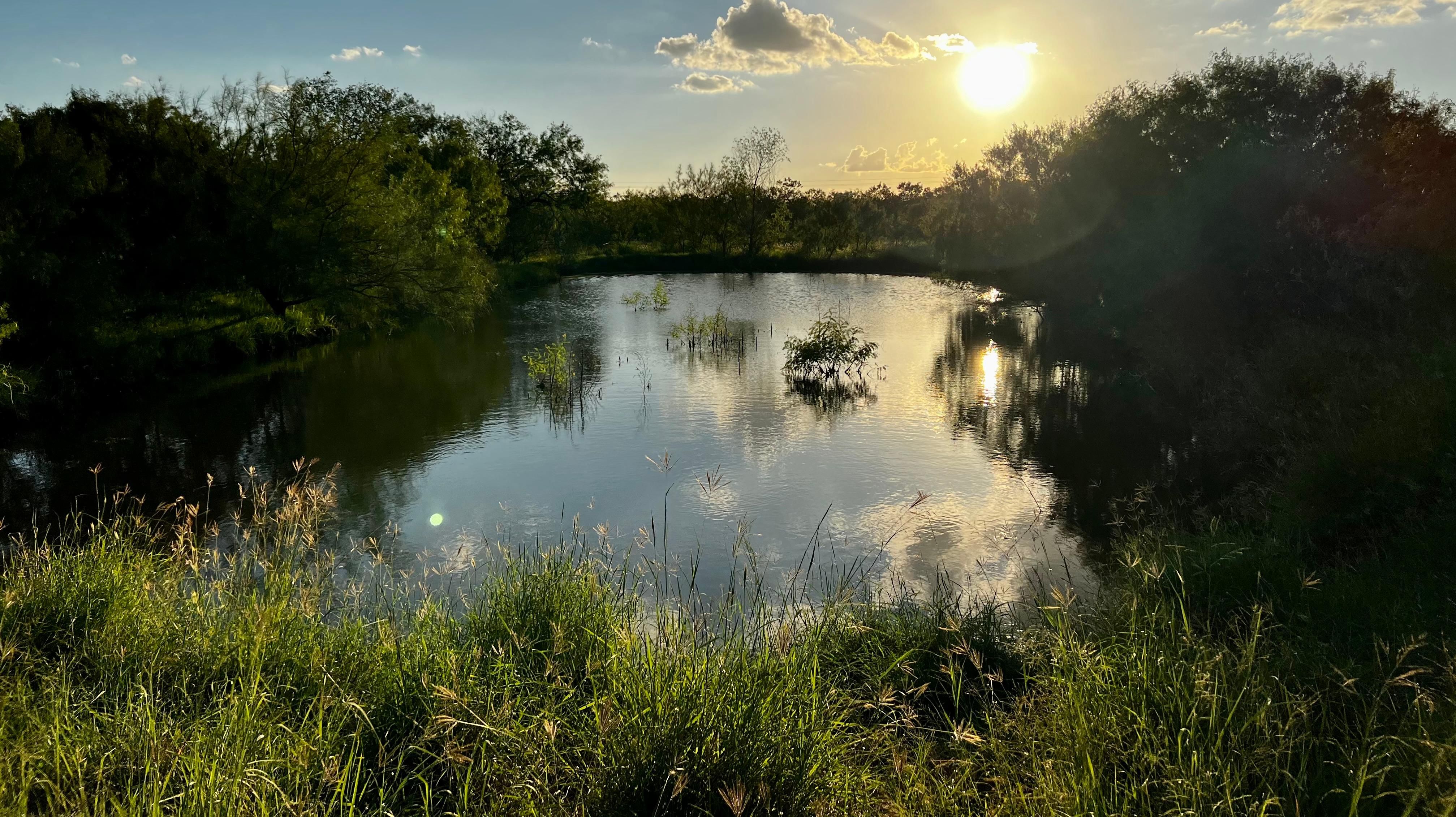 72.8 acres in Poth, TX, 78147 MLS 1639820 LandWatch