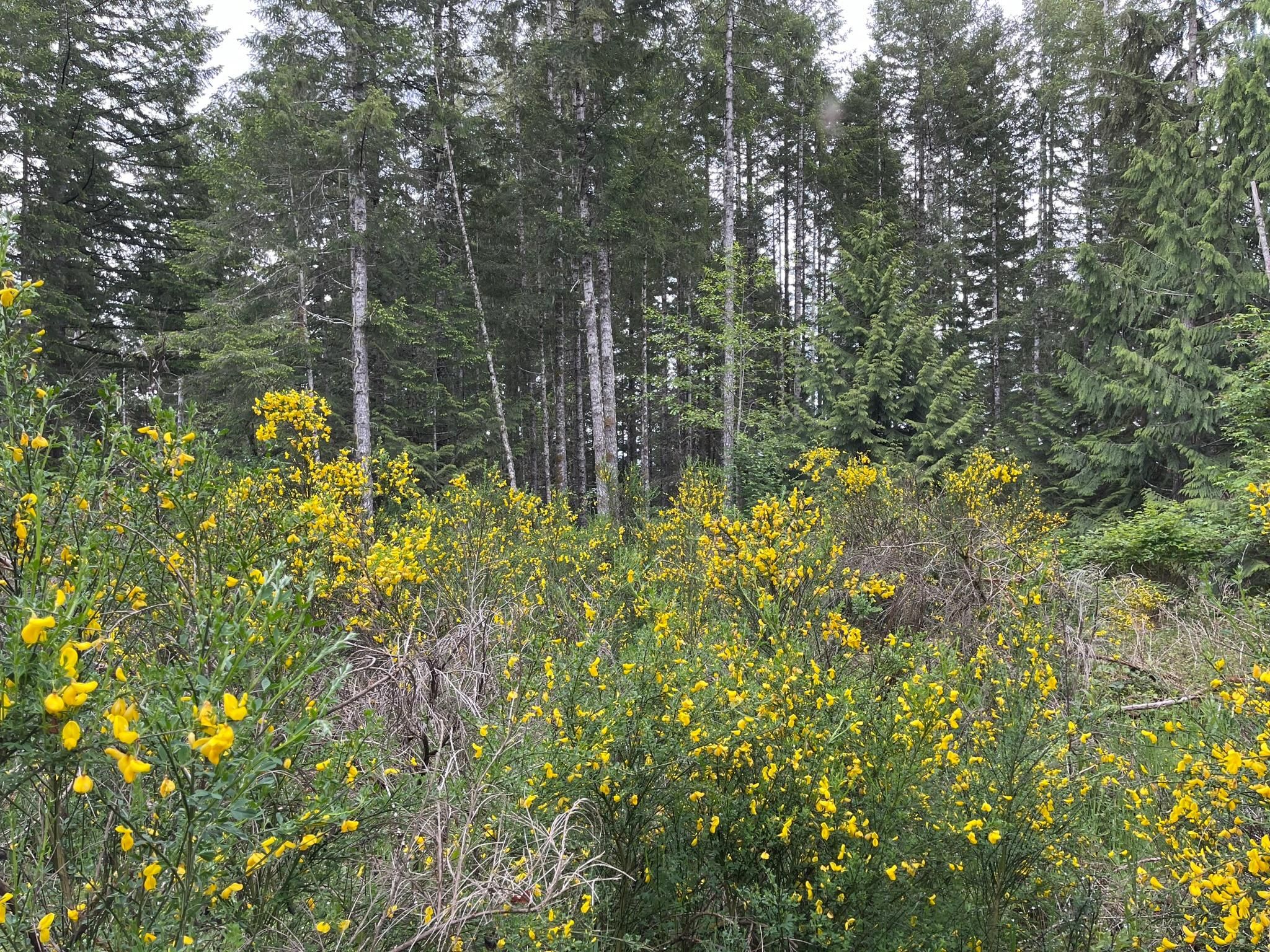 Bremerton, Kitsap County, WA Recreational Property, Undeveloped Land