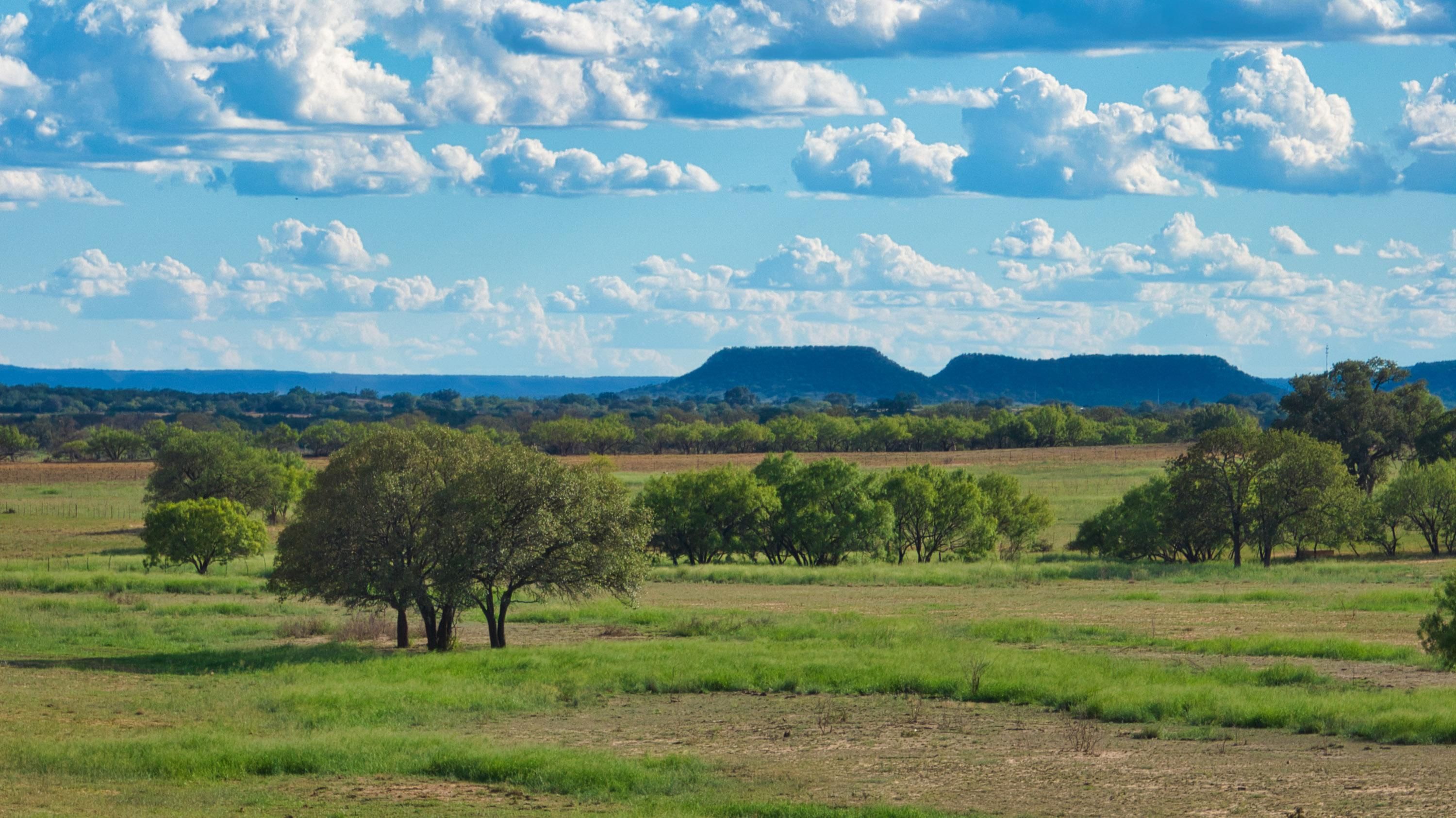 Menard, Menard County, TX Farms and Ranches, Recreational Property, Hunting Property for sale