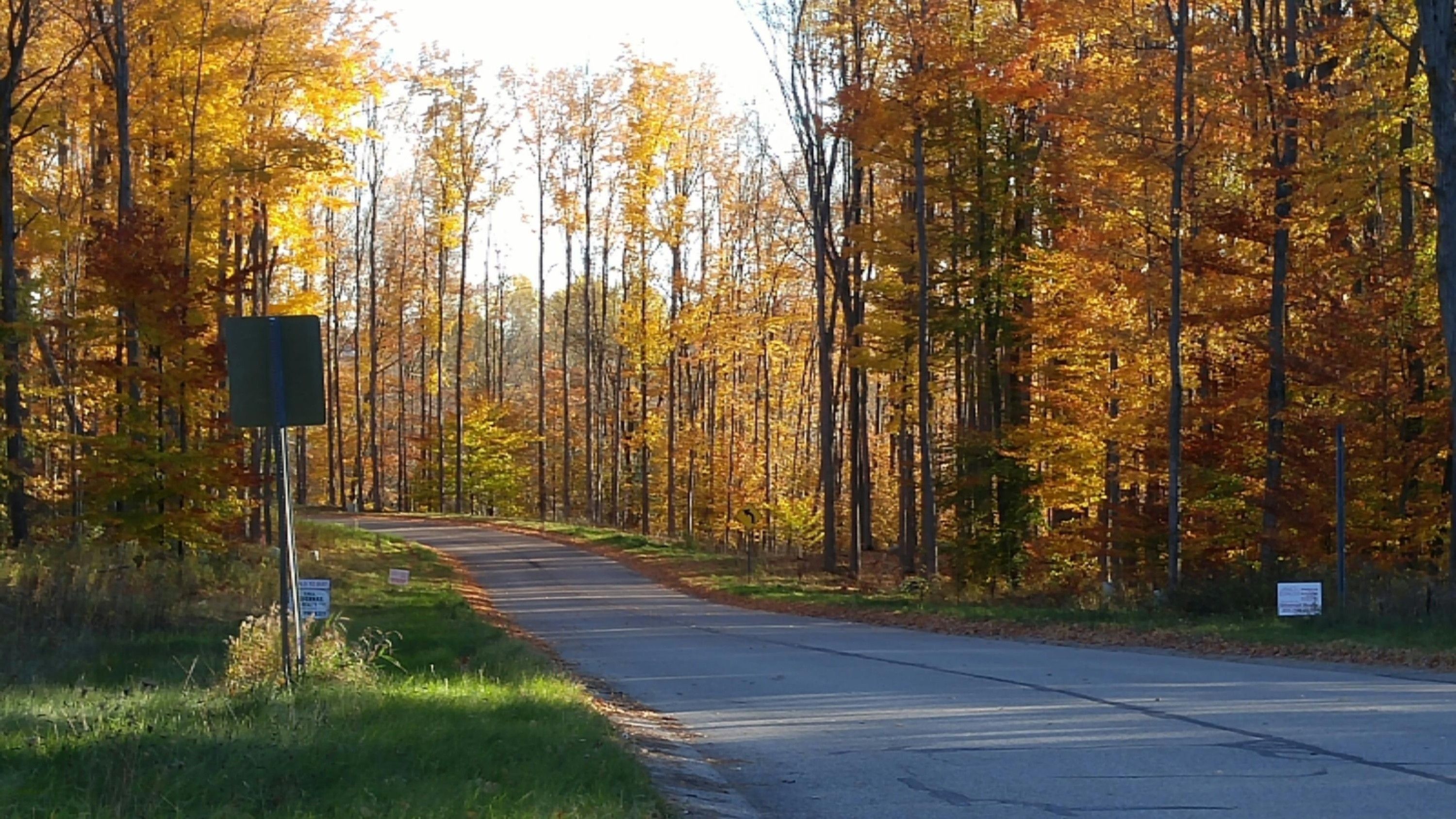 Big Rapids, Mecosta County, MI Undeveloped Land for sale Property ID