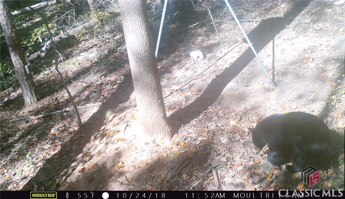 Toccoa, Stephens County, GA Undeveloped Land for sale Property ID