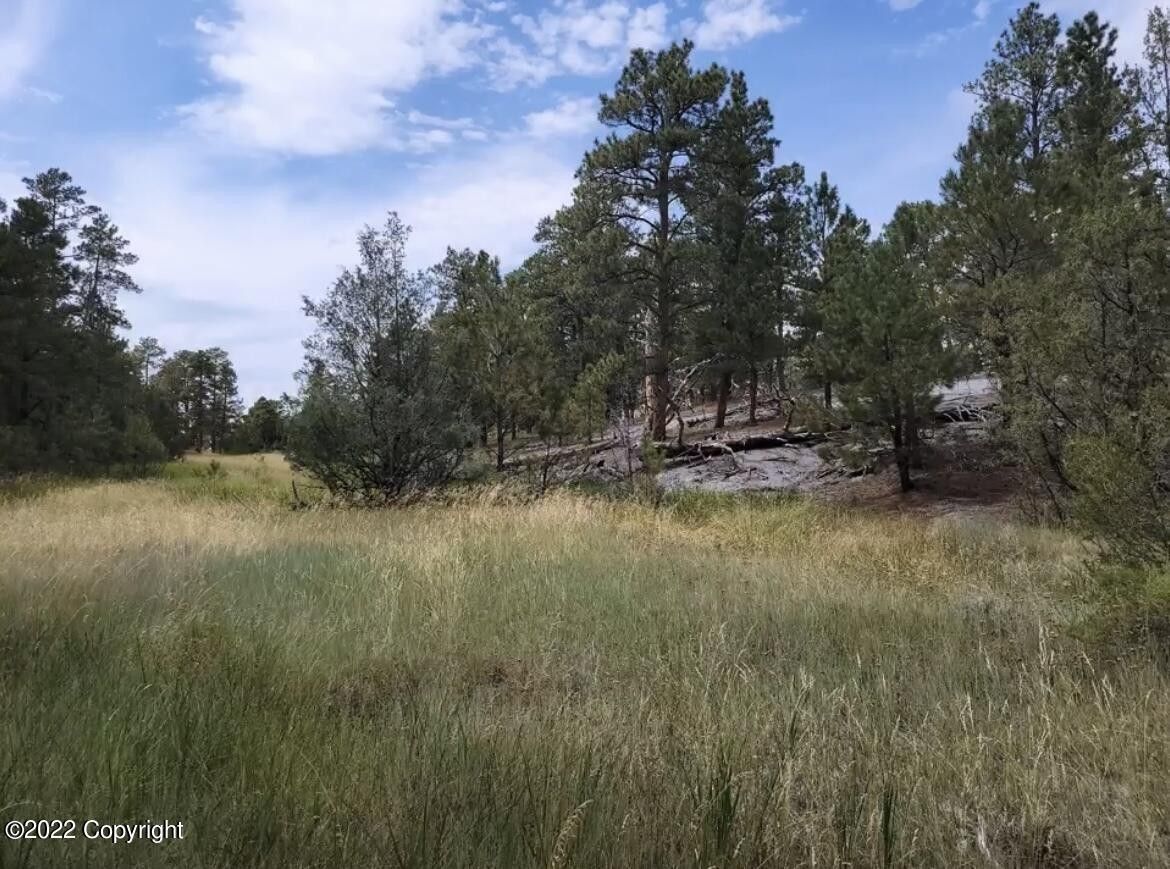 Moorcroft, Crook County, WY Undeveloped Land, Homesites for sale