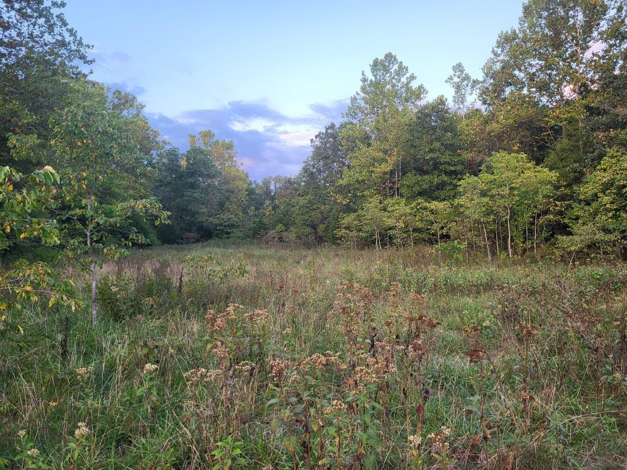 Ava, Douglas County, MO Undeveloped Land, Lakefront Property, Waterfront Property for sale