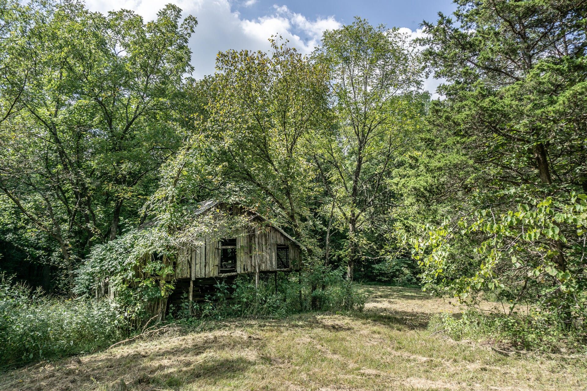 Greeneville, Greene County, TN Undeveloped Land for sale Property ID