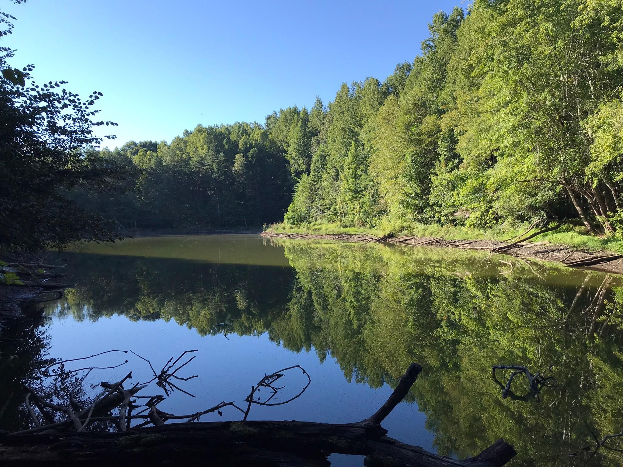 Riceville Road, Java, VA 24565 LandWatch