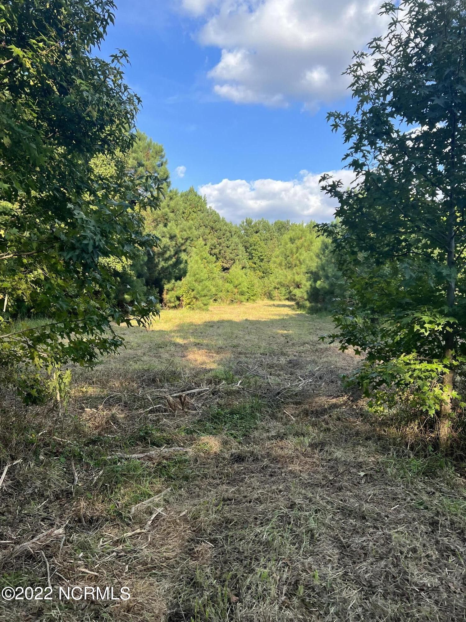 Arapahoe, Pamlico County, NC Farms and Ranches, Lakefront Property