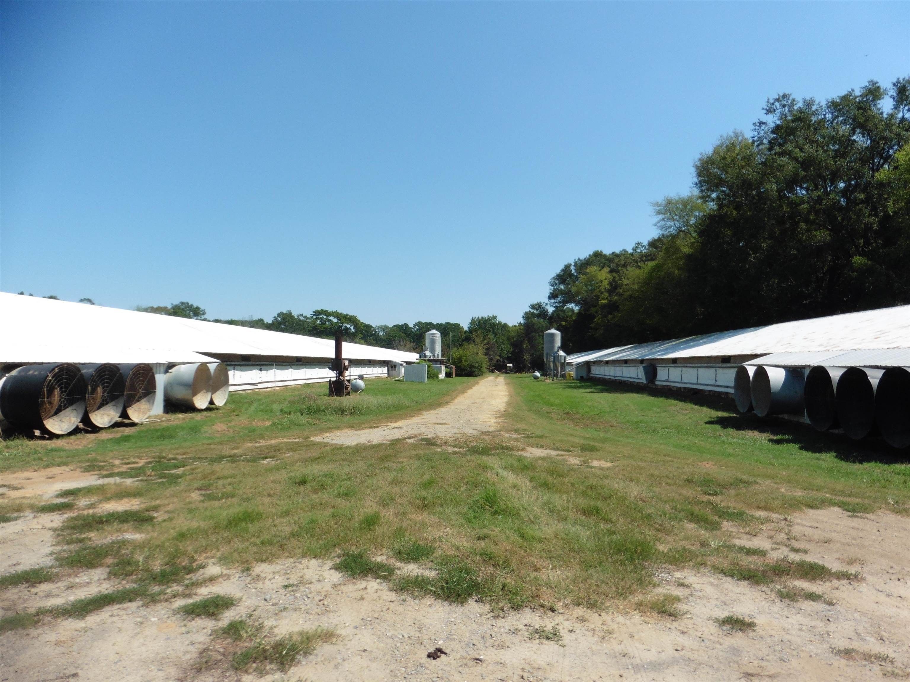 Carthage, Panola County, TX Farms and Ranches for sale Property ID