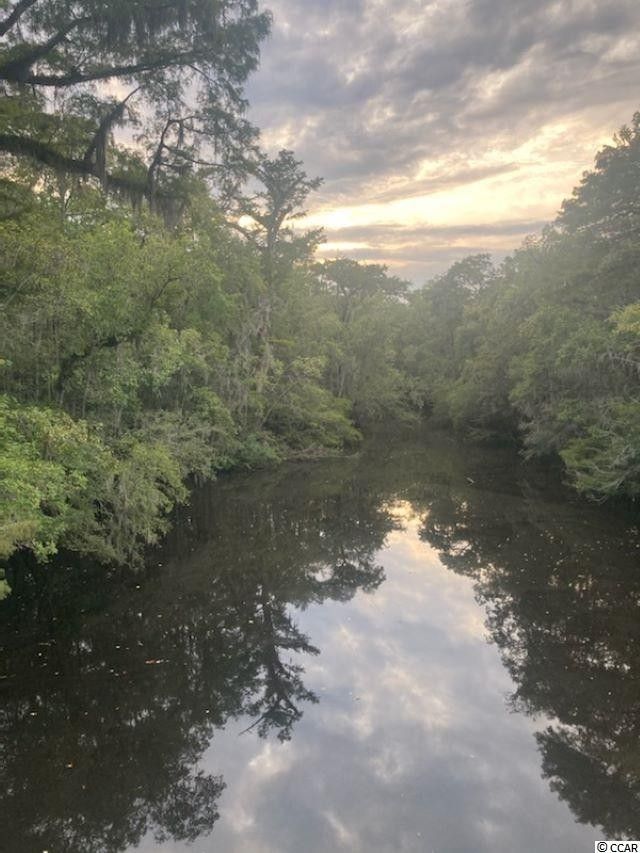 Johnsonville, Florence County, SC Farms and Ranches for sale Property