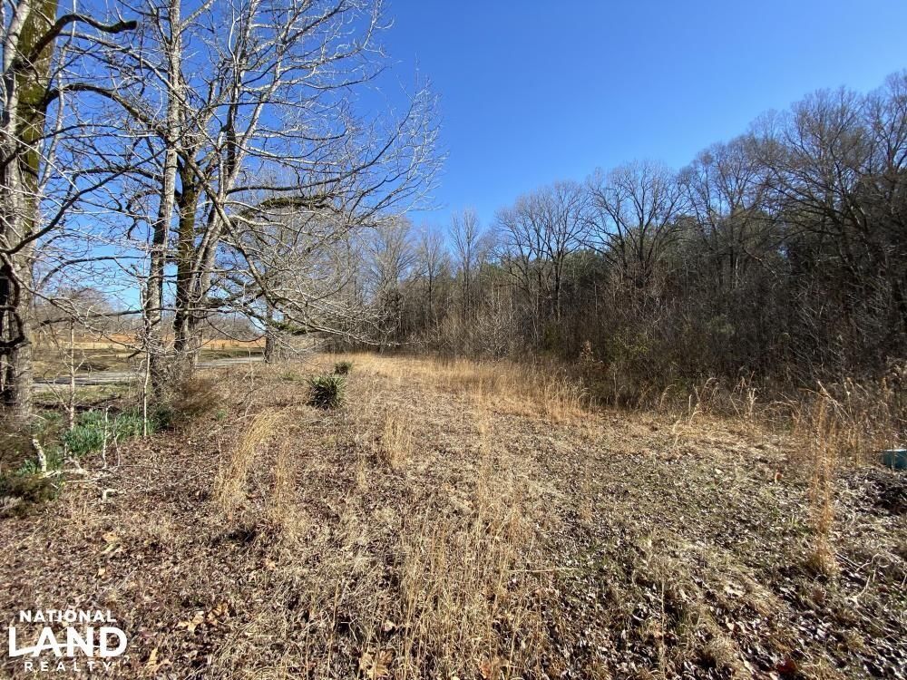 Sardis, Panola County, MS Recreational Property, Hunting Property for