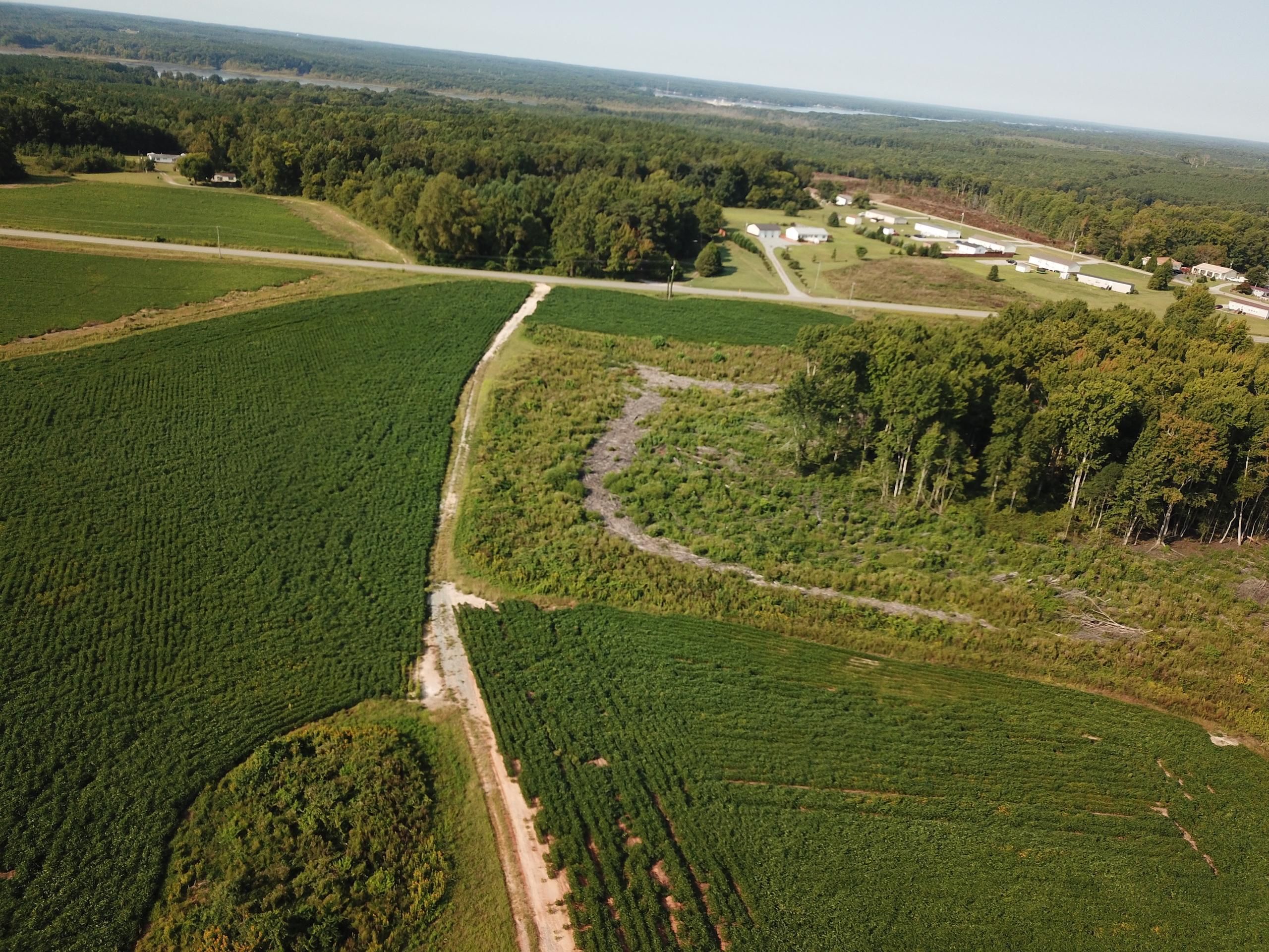 Gaston, Northampton County, NC Recreational Property, Timberland