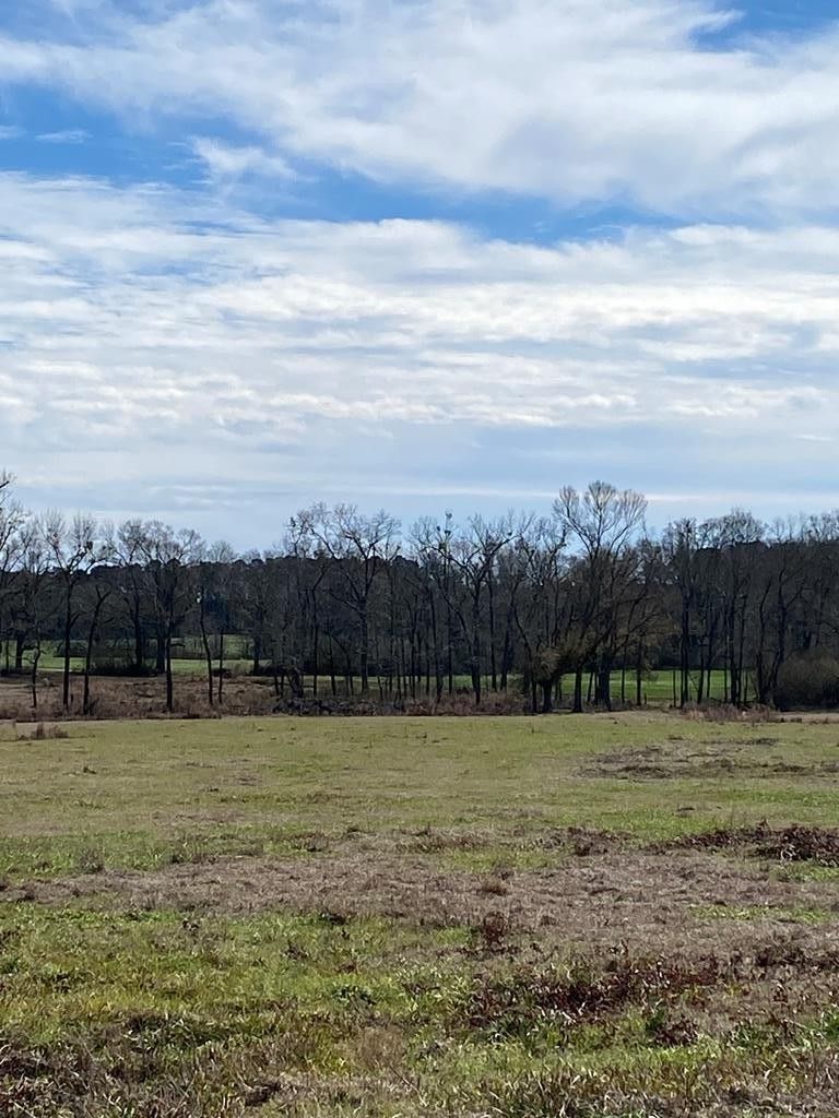 Liberty, Amite County, MS Farms and Ranches for sale Property ID