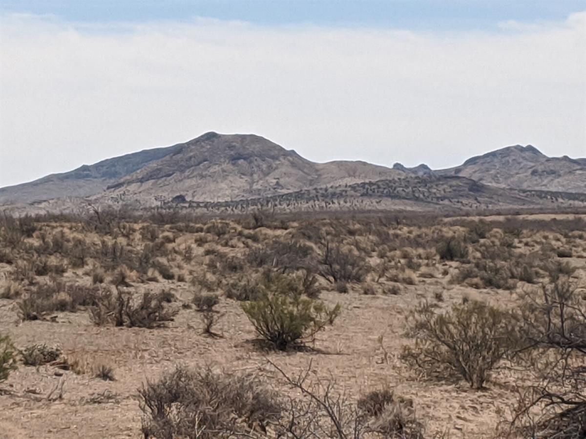 Dolan Springs, Mohave County, AZ Recreational Property, Hunting