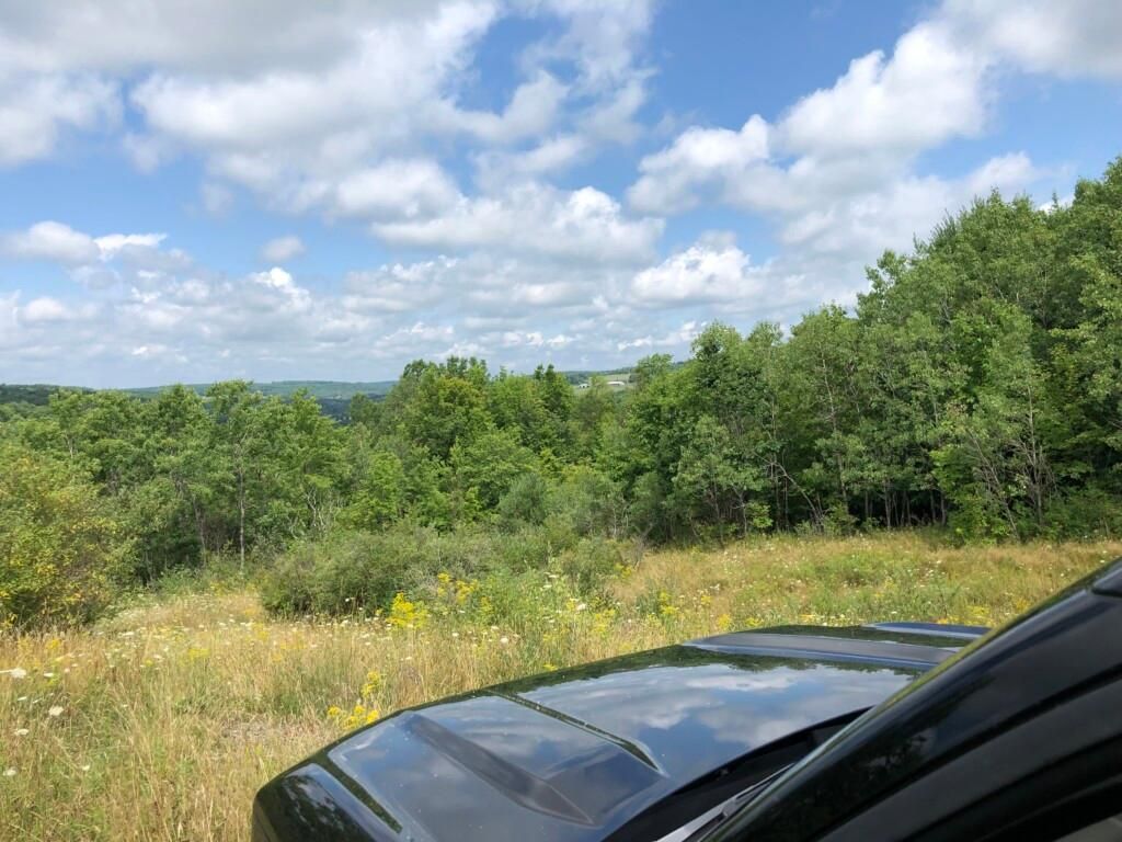 3494 New York 206, Whitney Point, NY 13862 LandWatch