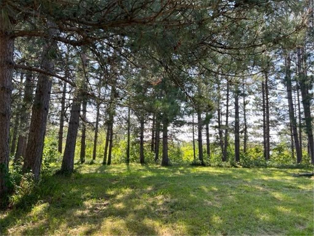 Longville, Cass County, MN Farms and Ranches, Lakefront Property