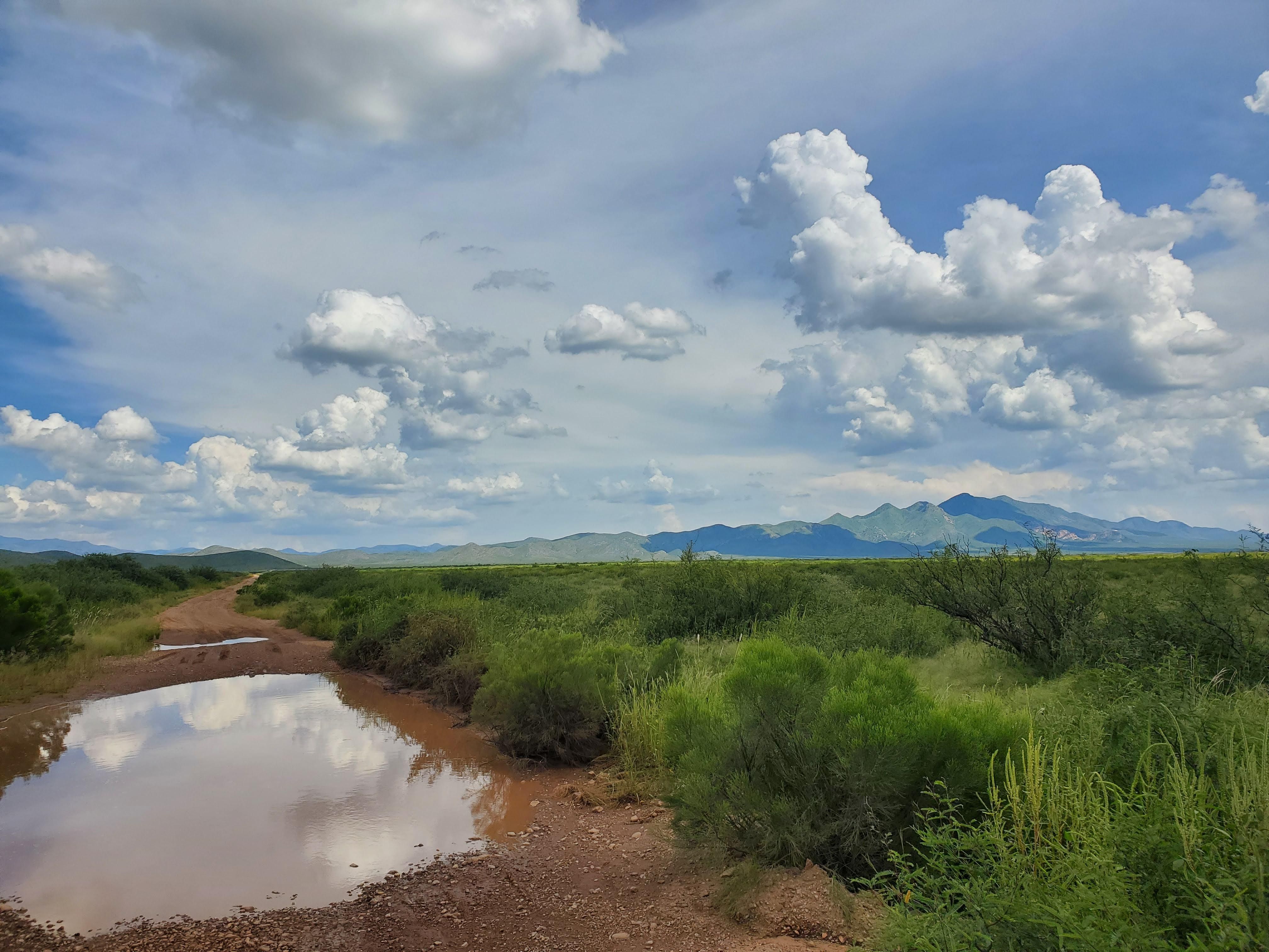 Elfrida, Cochise County, AZ Recreational Property, Horse Property