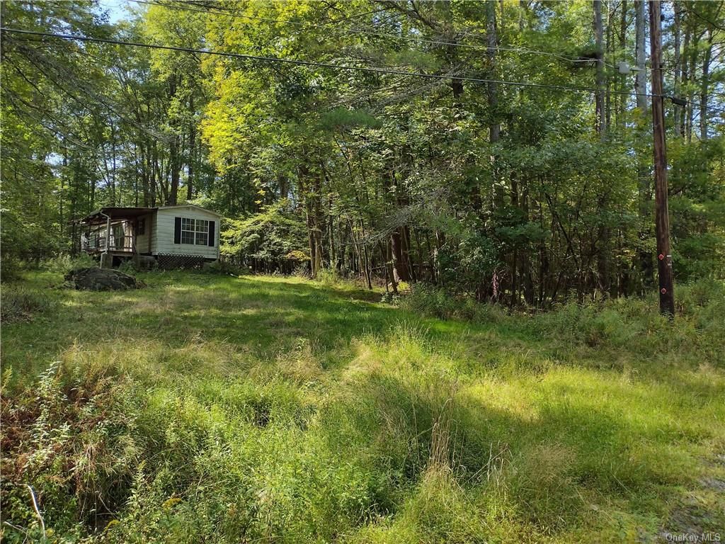 Narrowsburg, Sullivan County, NY House for sale Property ID 414893956