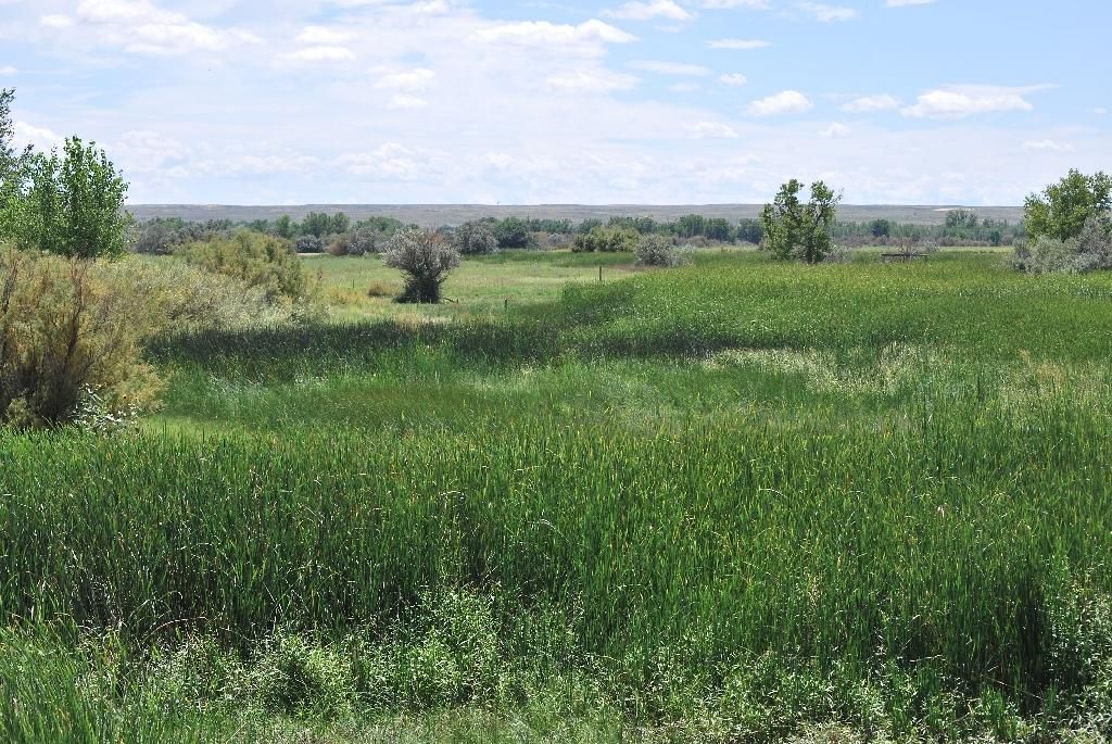 Fort Lyon, Bent County, CO Recreational Property, Undeveloped Land for